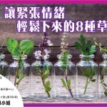 nature-regimen_web2_1101-01
