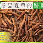 herbs_facebook_doctor_161214_1-01