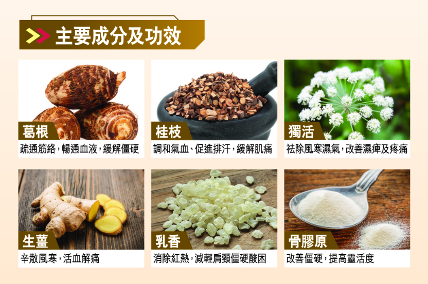 HG099_Leaflet_成份