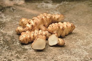 shutterstock_324372281_15CM