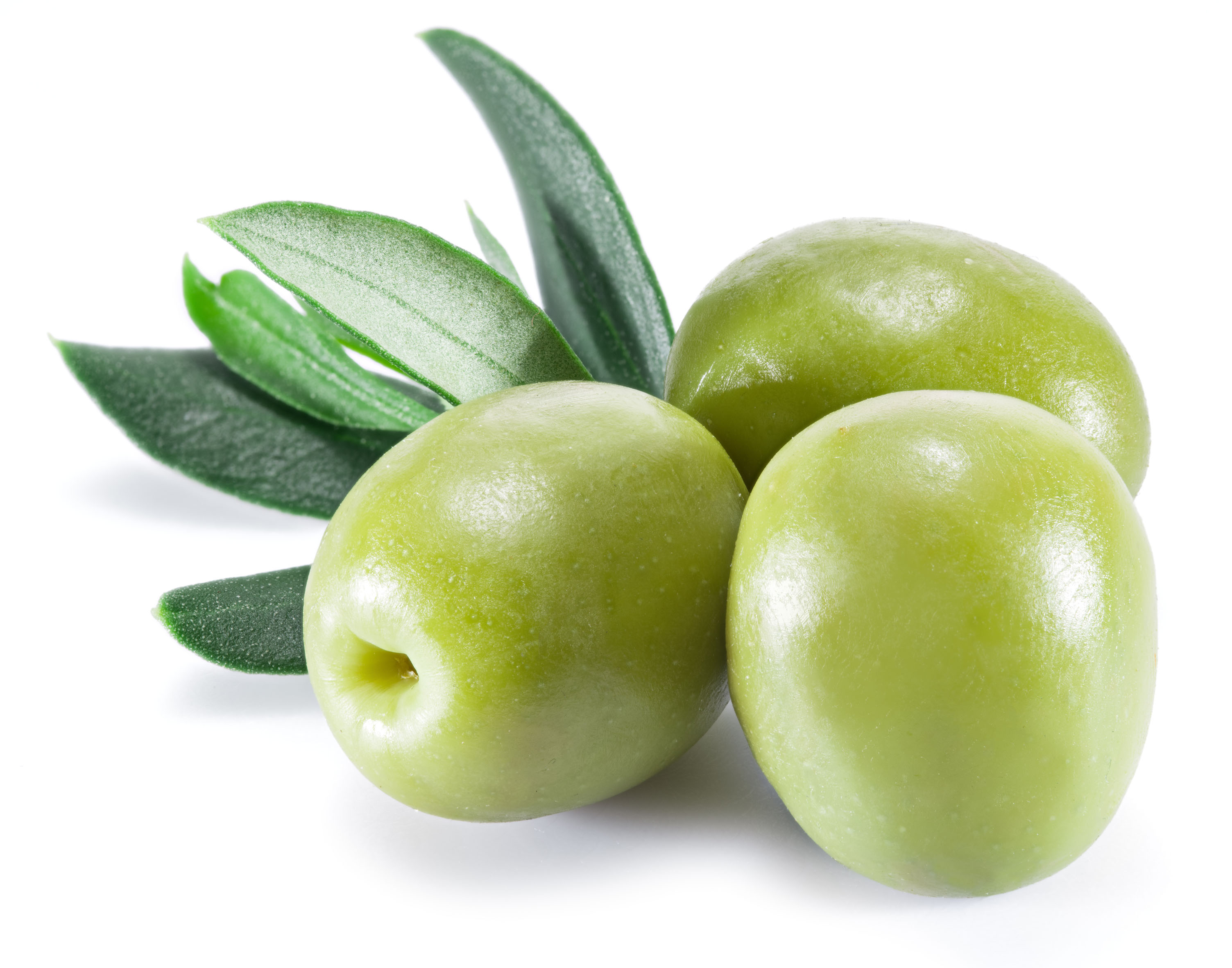 shutterstock_570635875