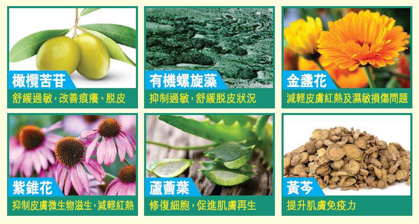 ingredient_skin_derma
