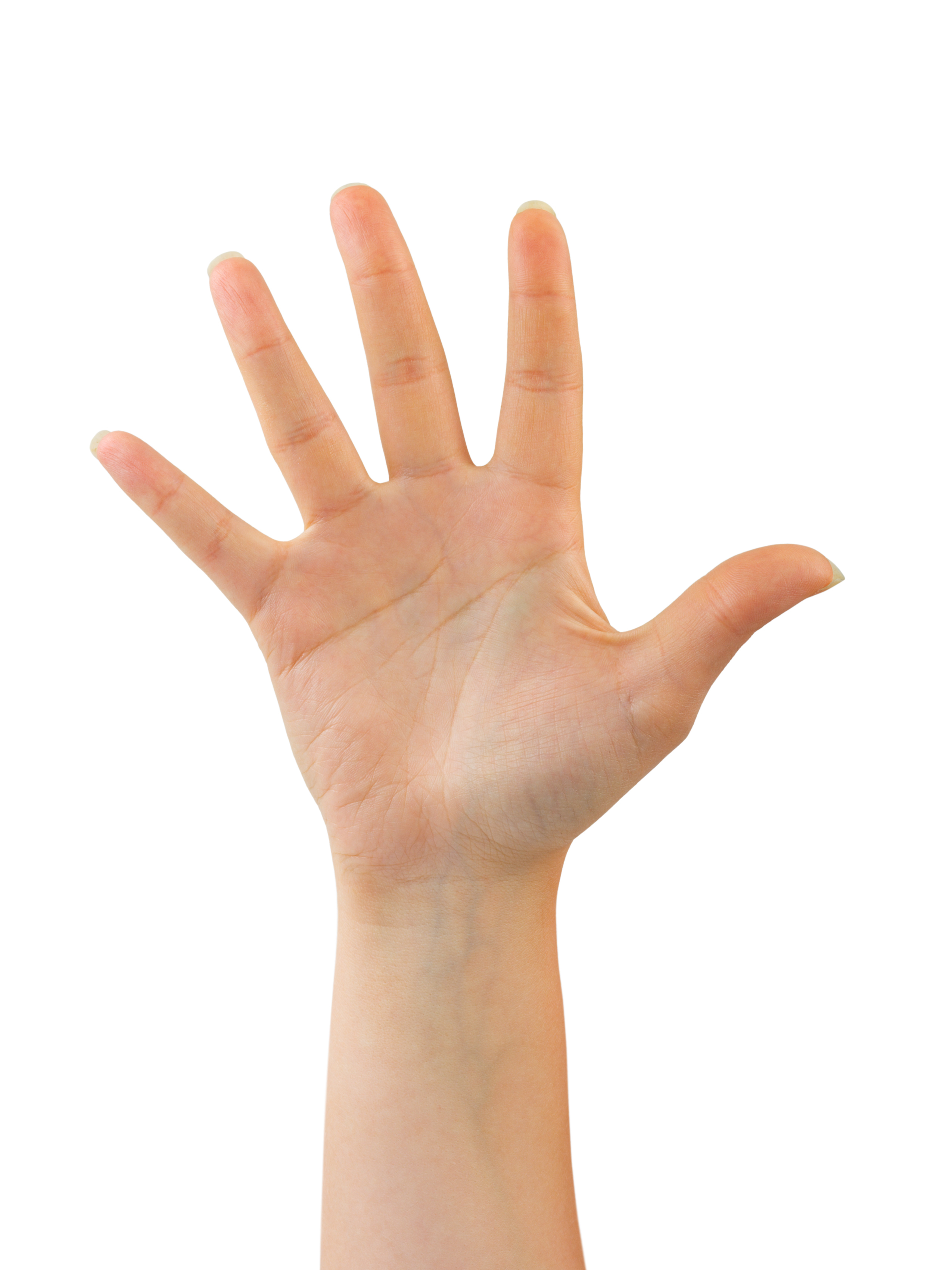 shutterstock_15711232