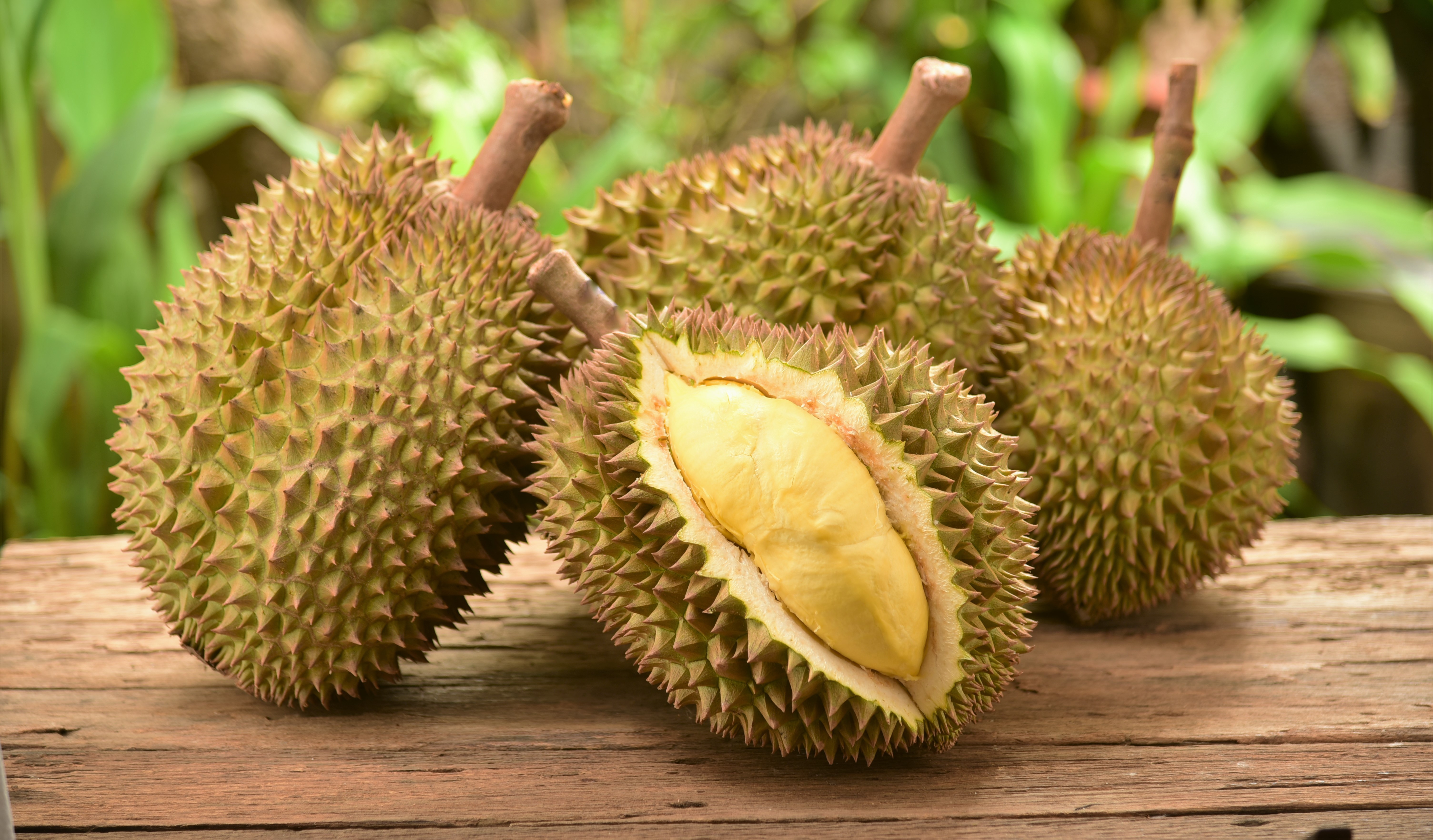 shutterstock_422852002