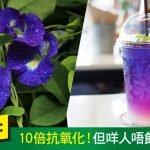 Herbs_FB_180423_V2-01