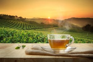 green tea 1