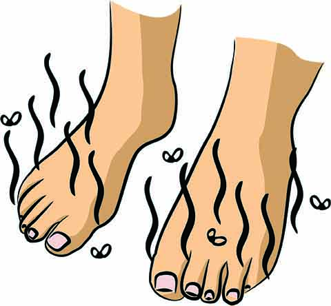 shutterstock_536800108_low