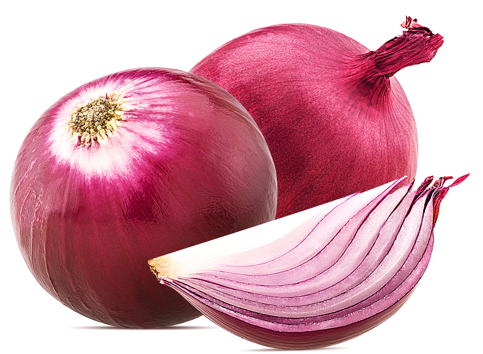 shutterstock_589997222
