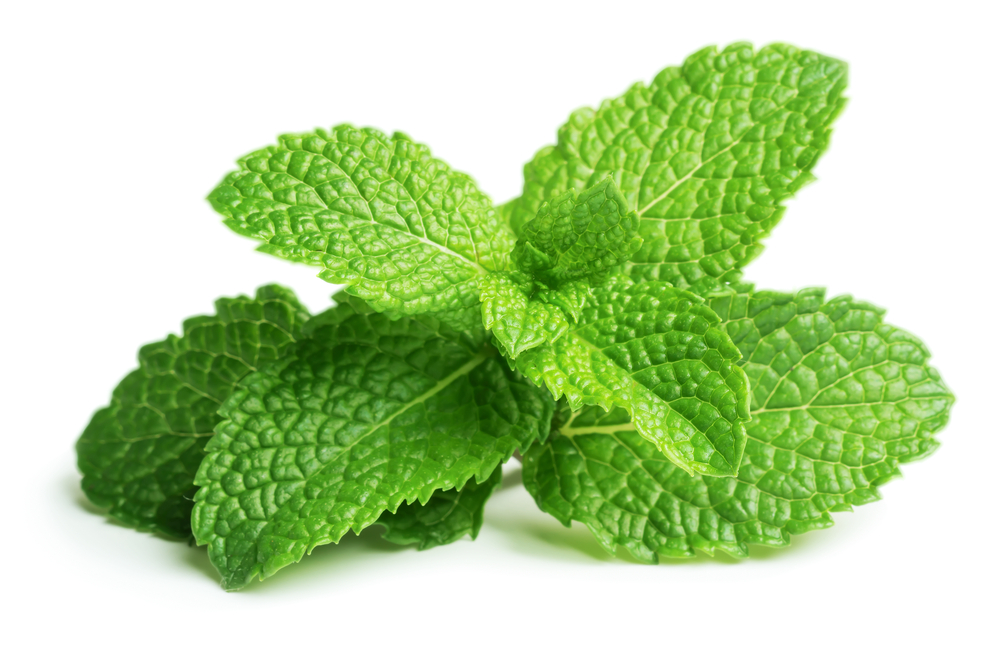 shutterstock_154608077