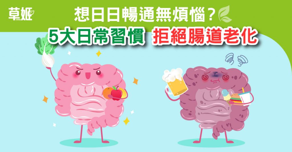 5大日常習慣 拒絶腸道老化