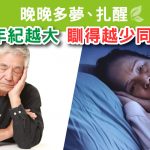 失眠|速睡丸|睡眠|訓教|易醒
