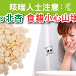 南杏VS北杏 食錯小心山埃中毒!