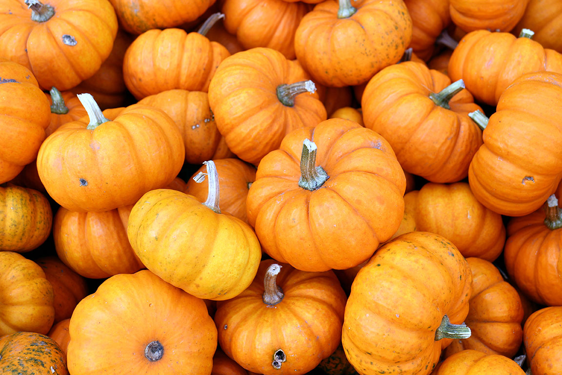 shutterstock_1173993862