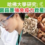 多醣體增強免疫力