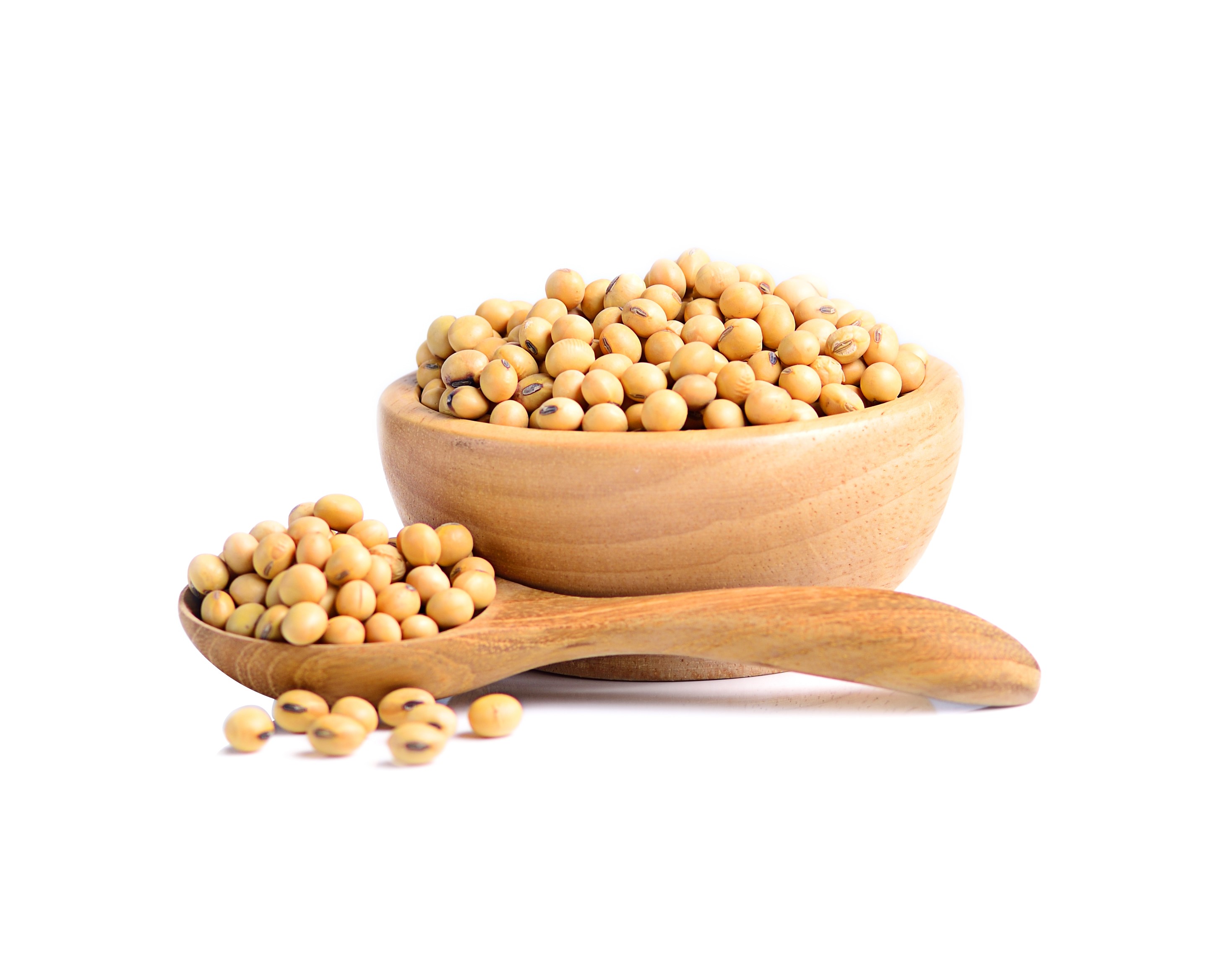 Beans