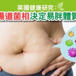 易肥|益生菌|腸道細菌