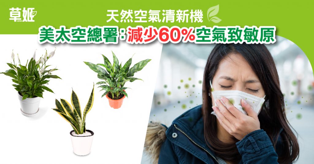 致敏原｜皮膚｜敏感