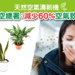 致敏原｜皮膚｜敏感