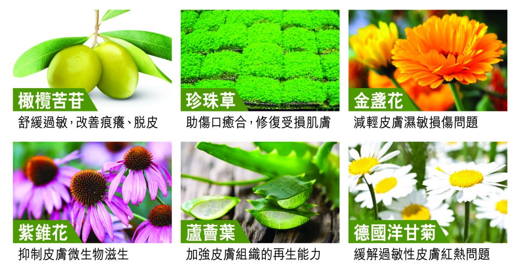 致敏原｜皮膚｜敏感