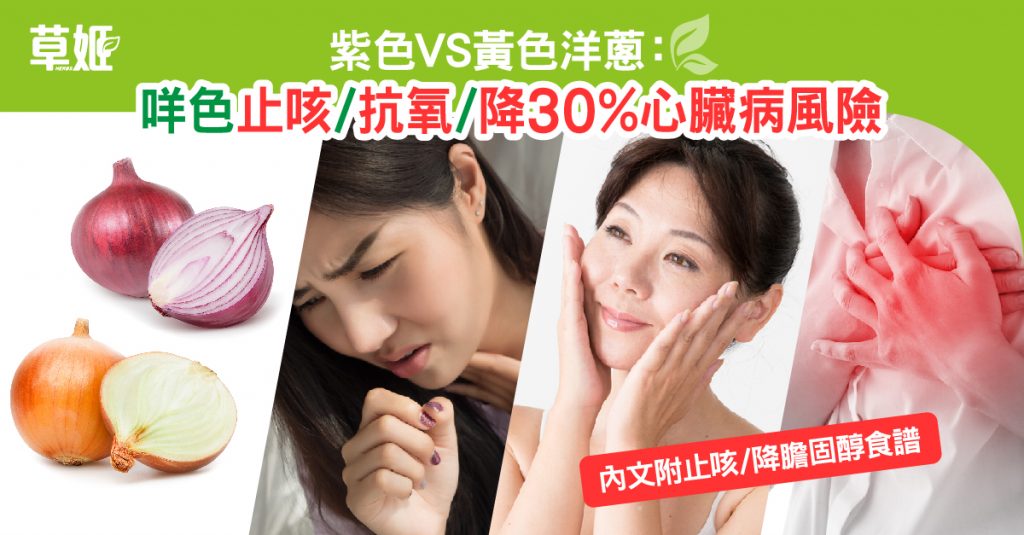 降膽固醇｜咳｜洋蔥