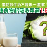 補鈣飲牛奶不是唯一選擇 這種食物鈣吸收率高1.8倍