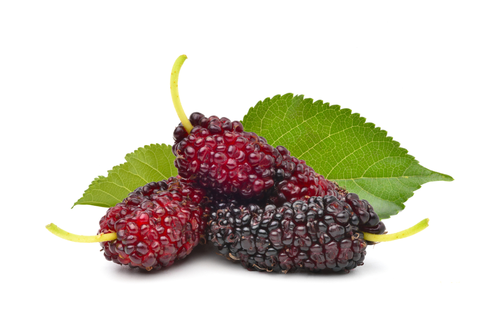 shutterstock_1359409898