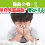 塵蟎致敏誘發兒童鼻敏感 要從根本問題解決!