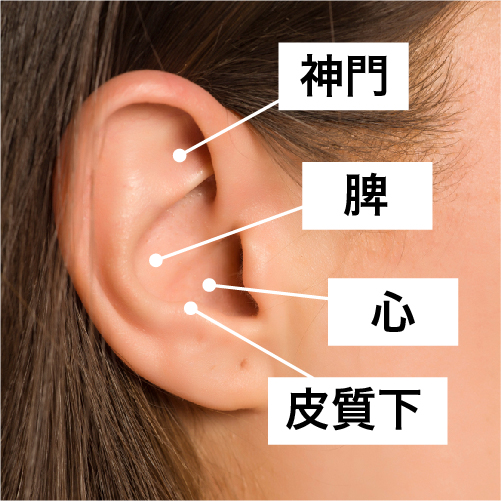 Herbs_LinkFeed_LZ_失眠耳穴-02