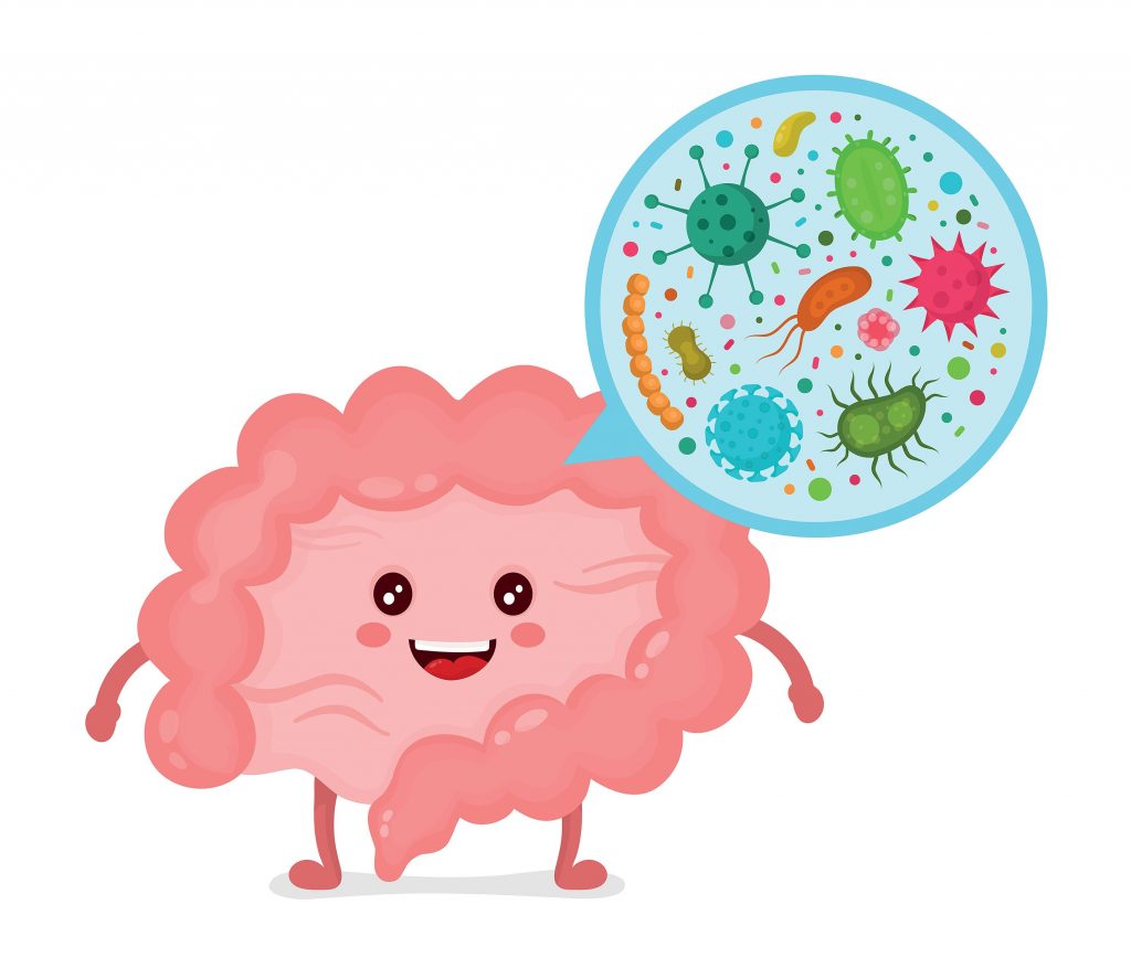 草姬 腸敏益 腸易激綜合症IBS