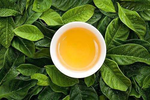 石榴茶