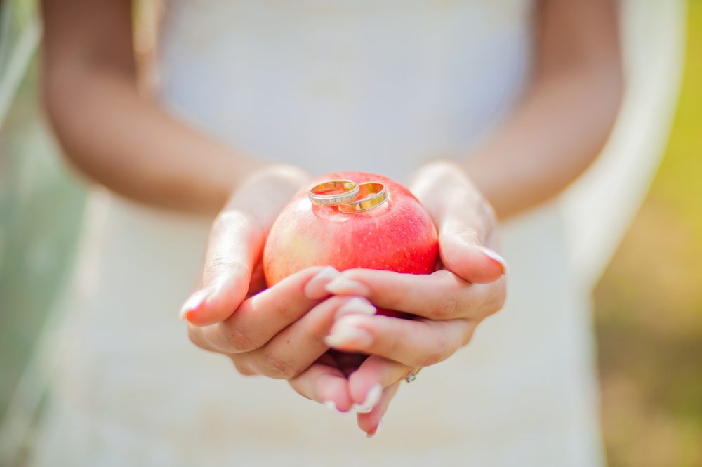 shutterstock_1056072926