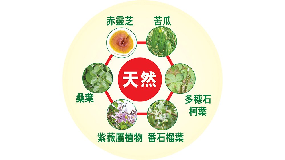 HG043_Leaflet_1709