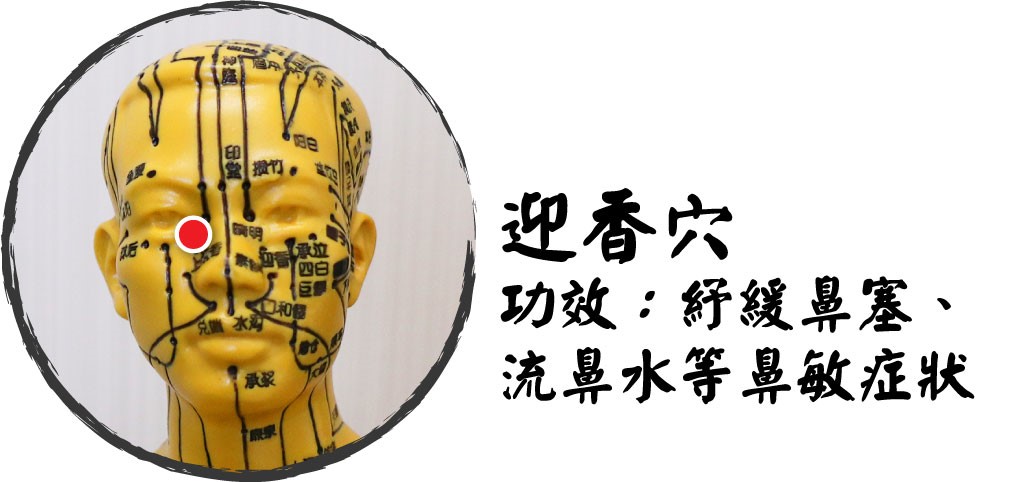 穴位01