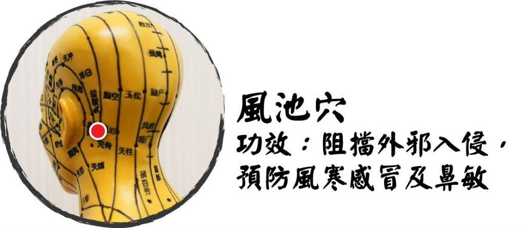 穴位02