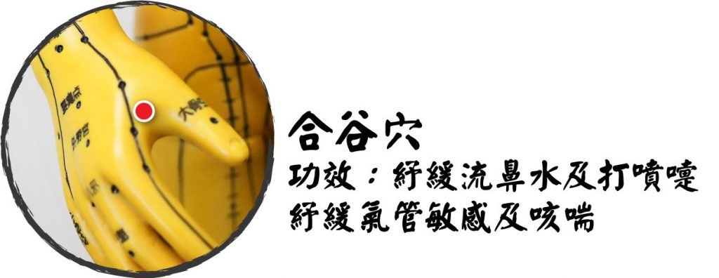穴位04