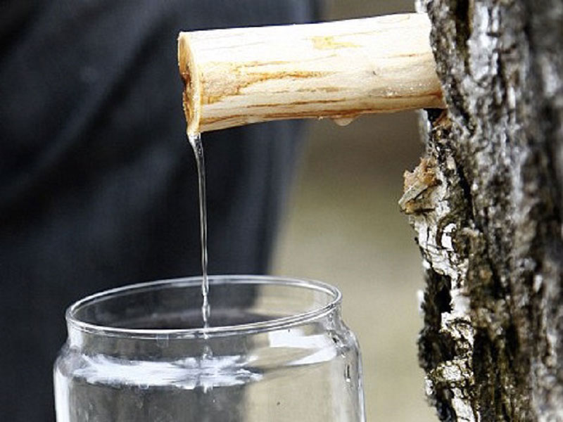 英國皮膚科醫生測試 1杯 = 排毒+抗發炎