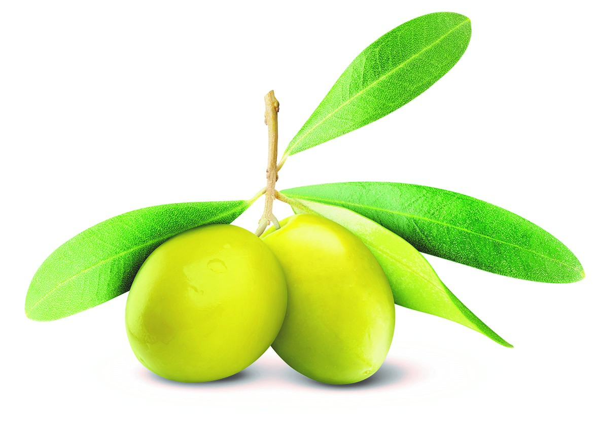 Olive