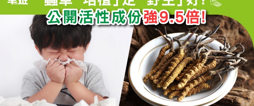 蟲草「培植」定「野生」好? 公開活性成份強9.5倍!
