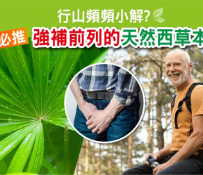 行山頻頻要小解? 必推強補前列的天然西草本