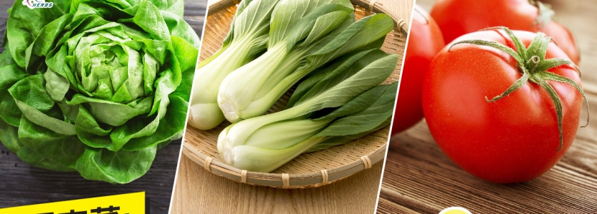 隔夜菜: 邊款最高致癌風險?