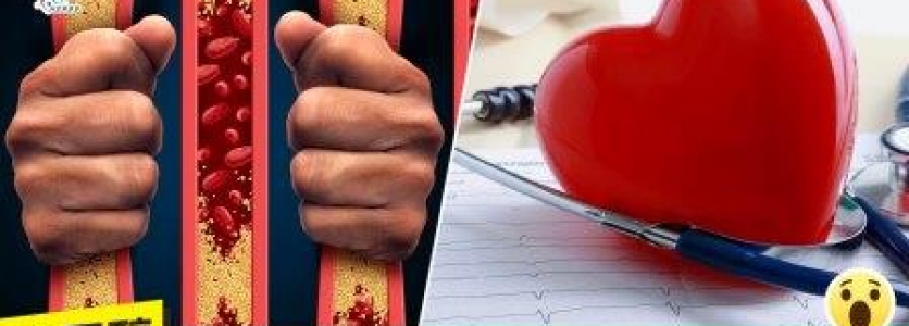 令人聞風喪膽的「膽固醇」原來有分「好/壞」?
