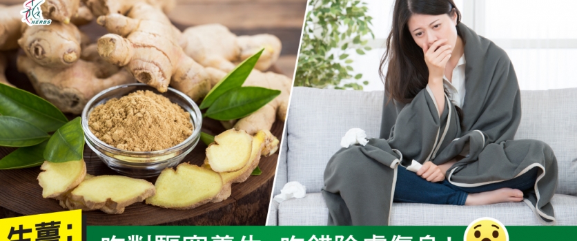 【生薑: 吃對驅寒養生，吃錯陰虛傷身！】