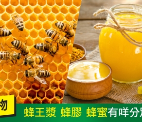 蜜蜂產物: 蜂王漿  蜂膠  蜂蜜有咩分別?