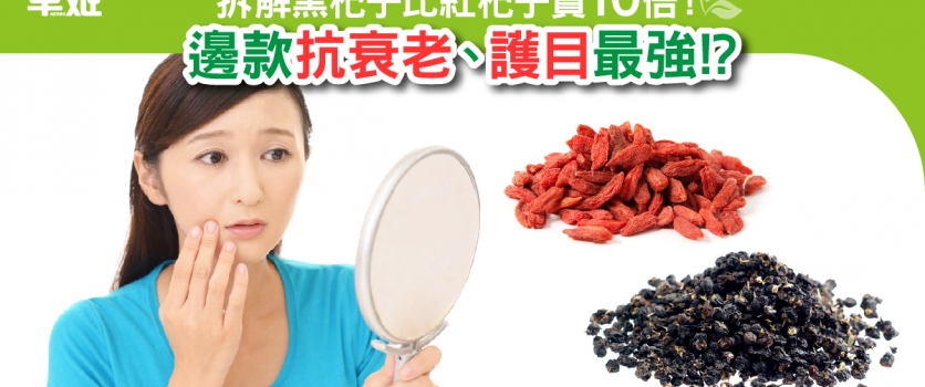 拆解黑杞子比紅杞子貴10倍  邊款抗衰老、護目最強！？