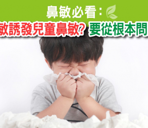 鼻敏必看：塵蟎致敏誘發兒童鼻敏? 要從根本問題解決!